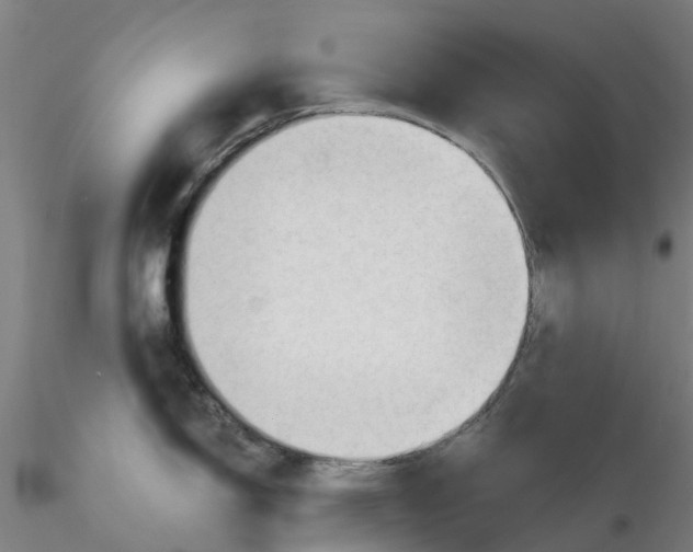 X0000116341150200912221436