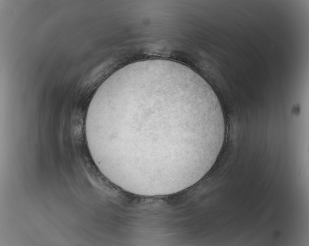 X0000116341154200912221435