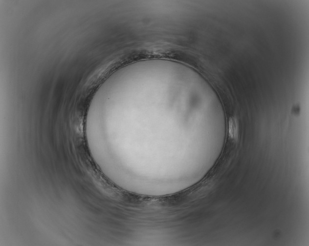 X0000116341155200912221435