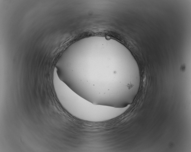 X0000116341156200912221435