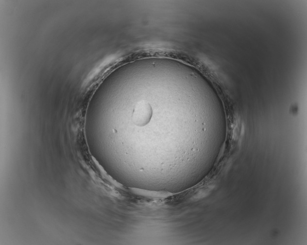 X0000116341157200912221435