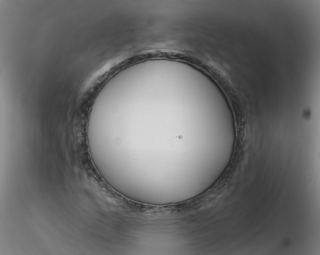 X0000116341159200912221435