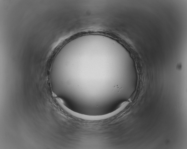 X0000116341160200912221435