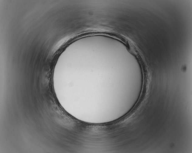 X0000116341163200912221435