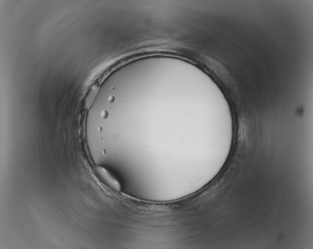 X0000116341164200912221435