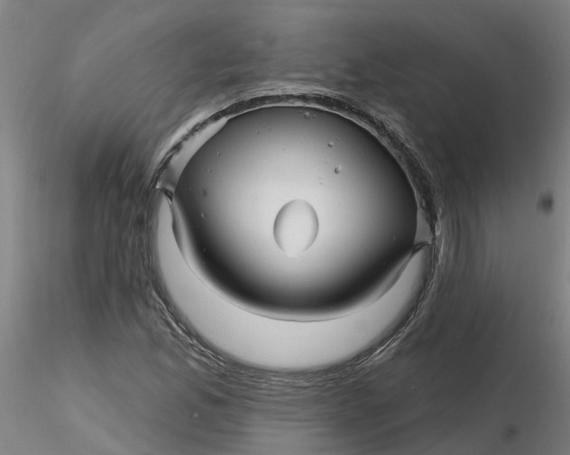 X0000116341165200912221435