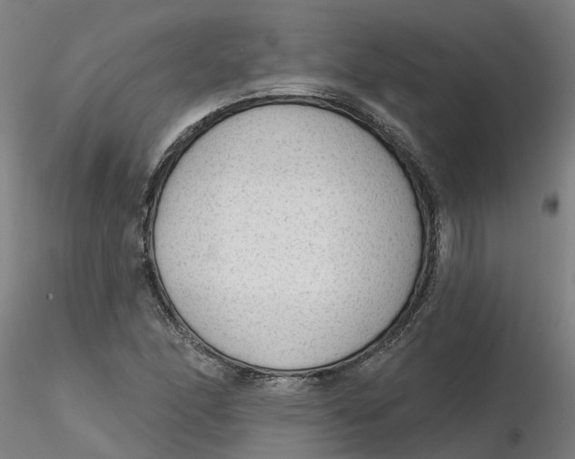 X0000116341166200912221435