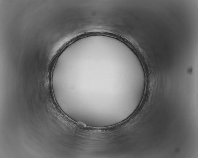 X0000116341167200912221435