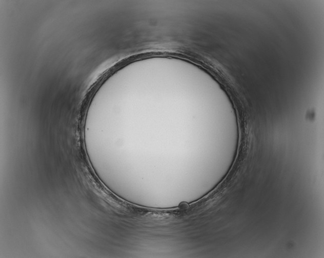 X0000116341168200912221435