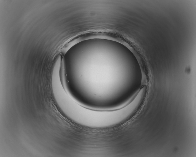 X0000116341169200912221435