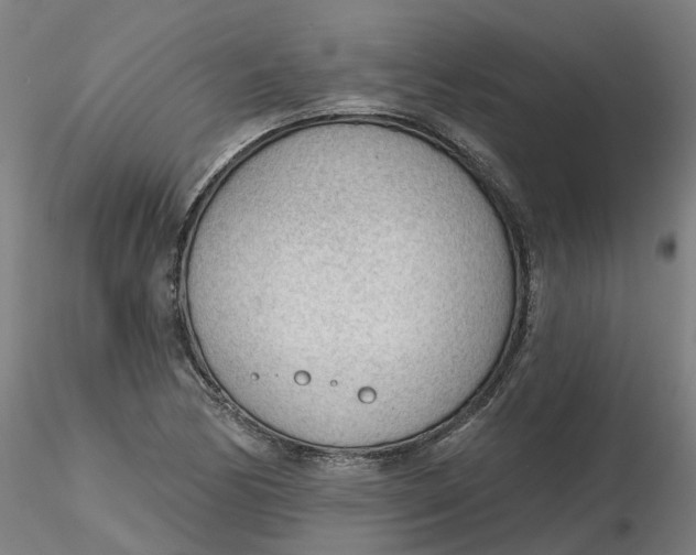 X0000116341170200912221435