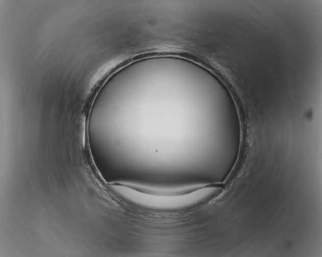 X0000116341171200912221435