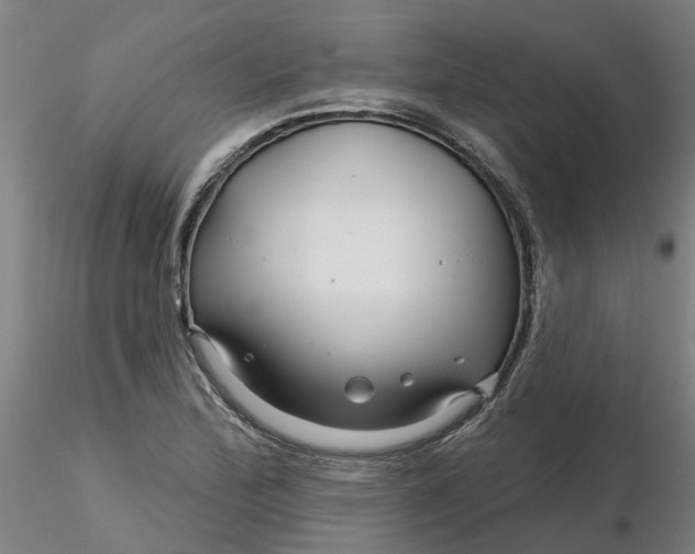 X0000116341172200912221435