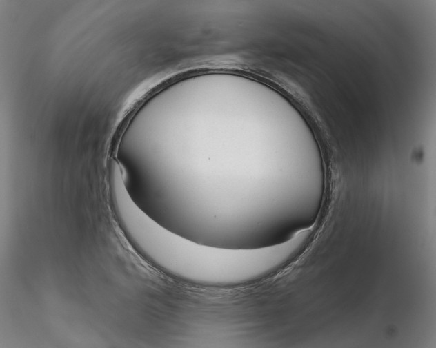 X0000116341176200912221435