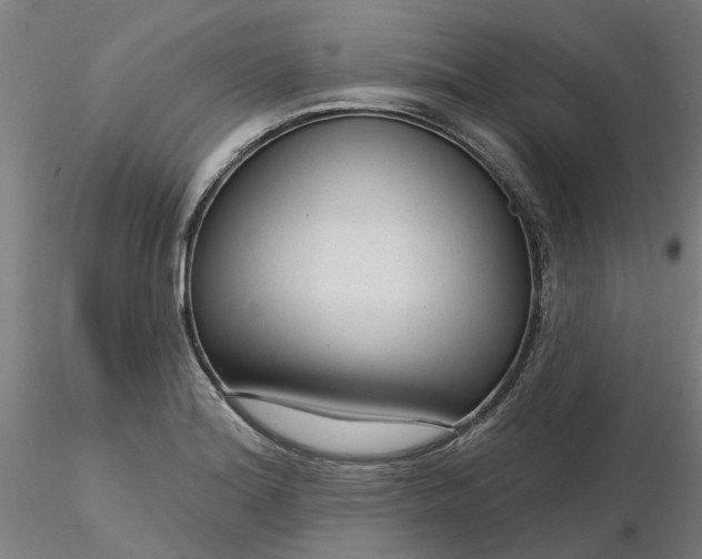 X0000116341180200912221435