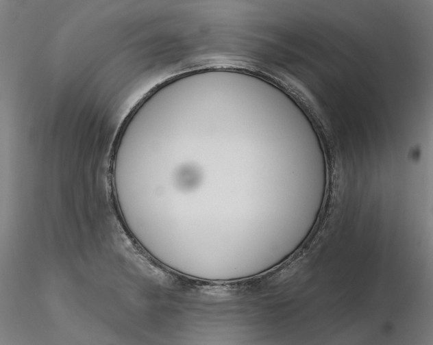 X0000116341182200912221434