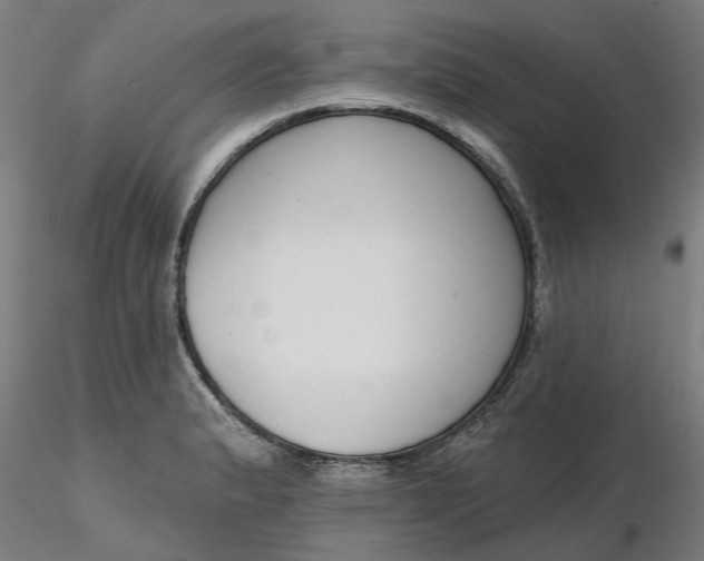 X0000116341183200912221434