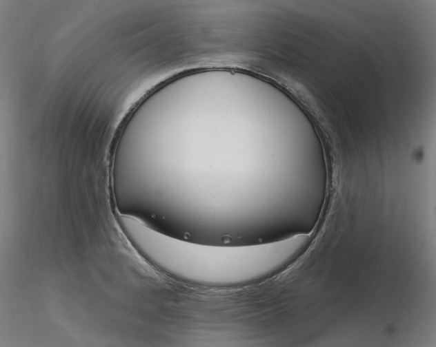 X0000116341184200912221434