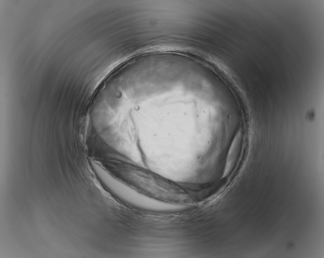 X0000116341185200912221434