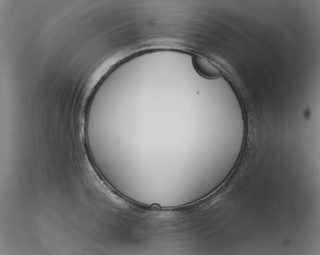 X0000116341188200912221434