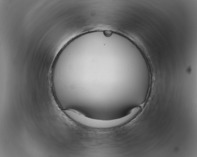 X0000116341190200912221434