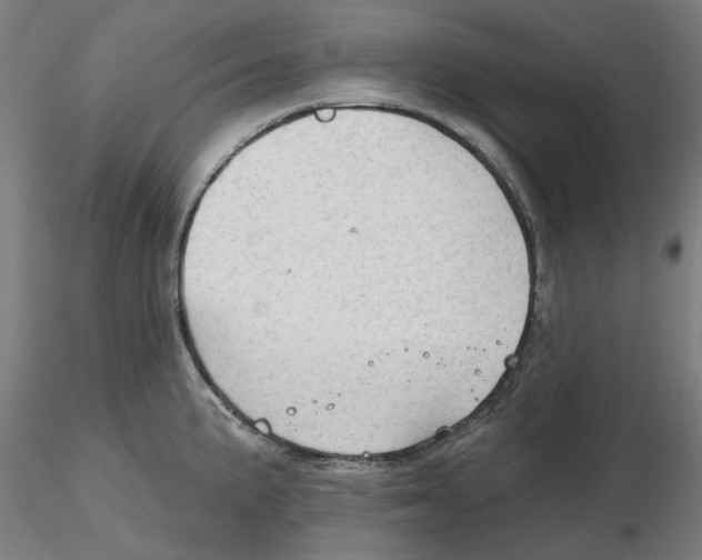 X0000116341191200912221434