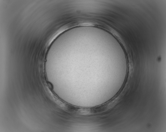 X0000116341194200912221434