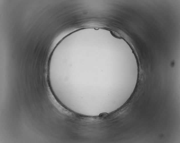 X0000116341195200912221434