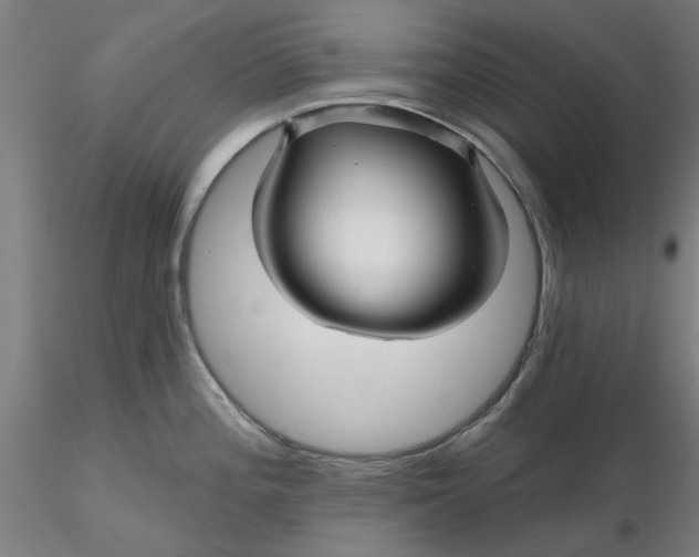 X0000116341196200912221434