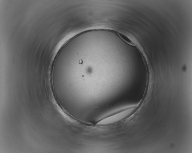 X0000116341197200912221434