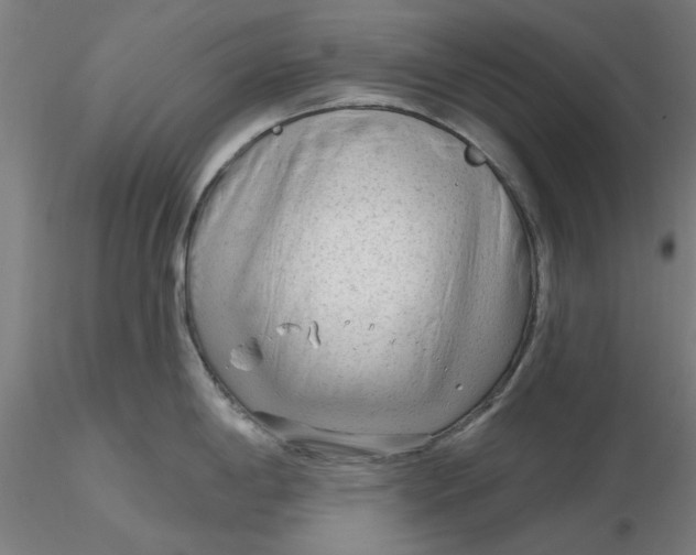 X0000116341198200912221434