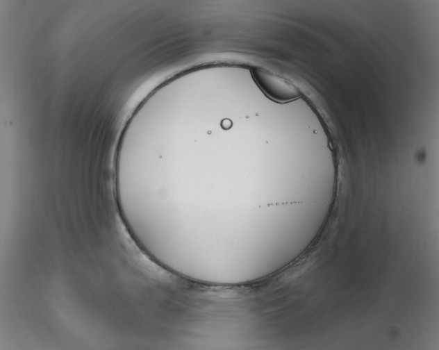 X0000116341199200912221434