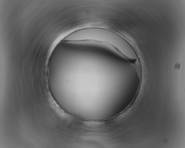 X0000116341200200912221434