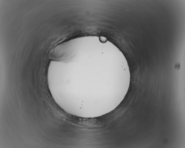 X0000116341201200912221434