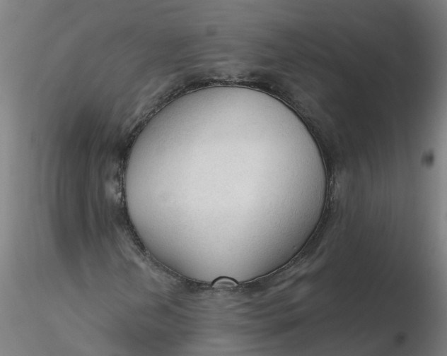 X0000116341202200912221434