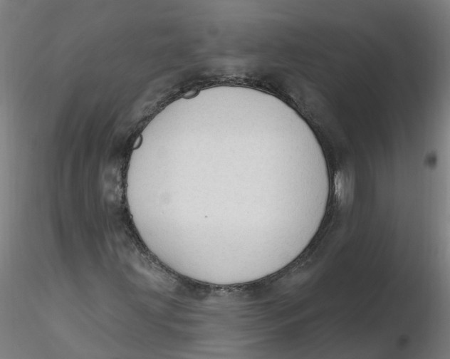 X0000116341203200912221434