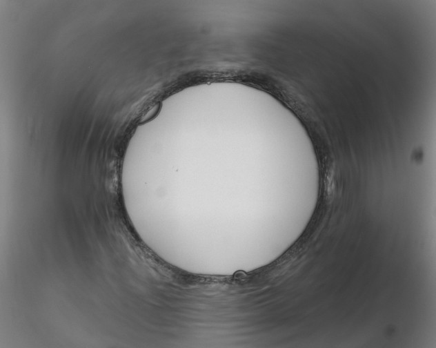 X0000116341204200912221434