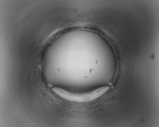 X0000116341206200912221434