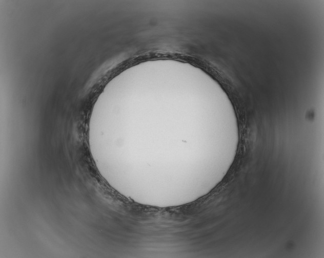 X0000116341207200912221434