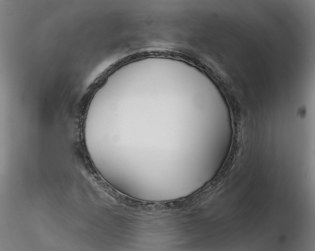 X0000116341208200912221434