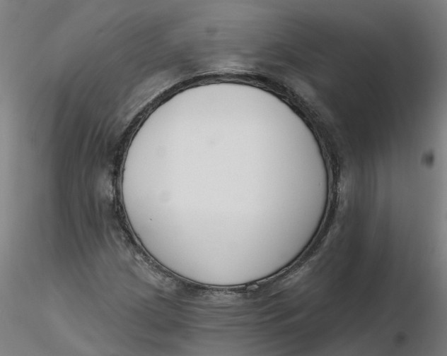 X0000116341209200912221434