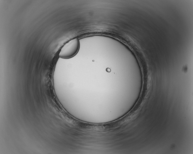 X0000116341210200912221434