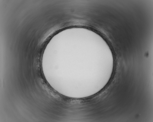 X0000116341211200912221434