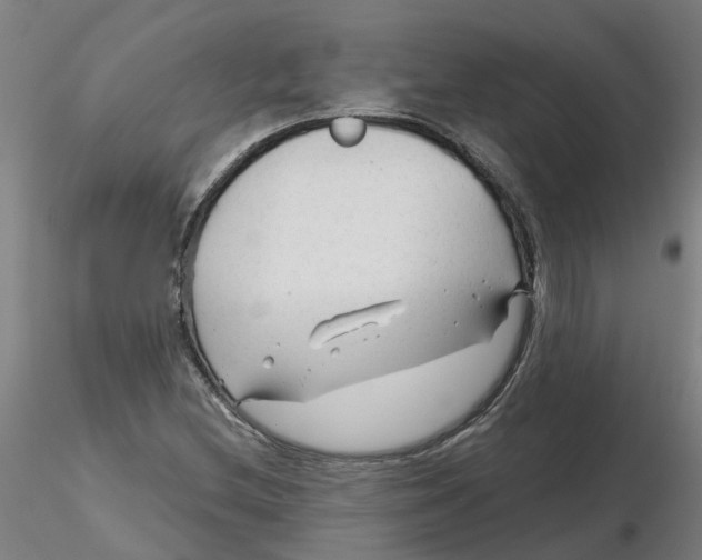 X0000116341212200912221434