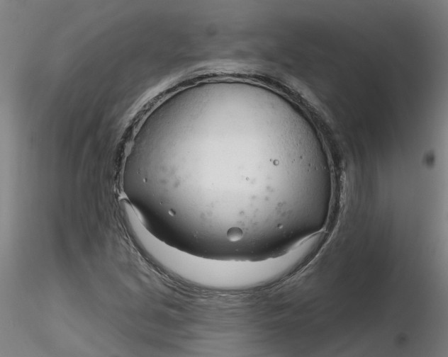 X0000116341213200912221434