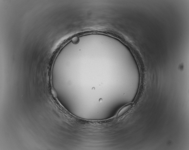 X0000116341214200912221434