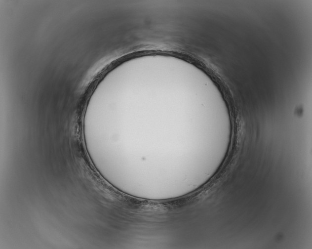 X0000116341215200912221434