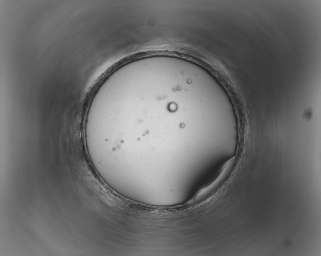 X0000116341216200912221434