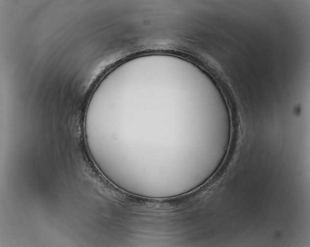 X0000116341218200912221434