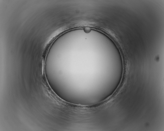 X0000116341219200912221434